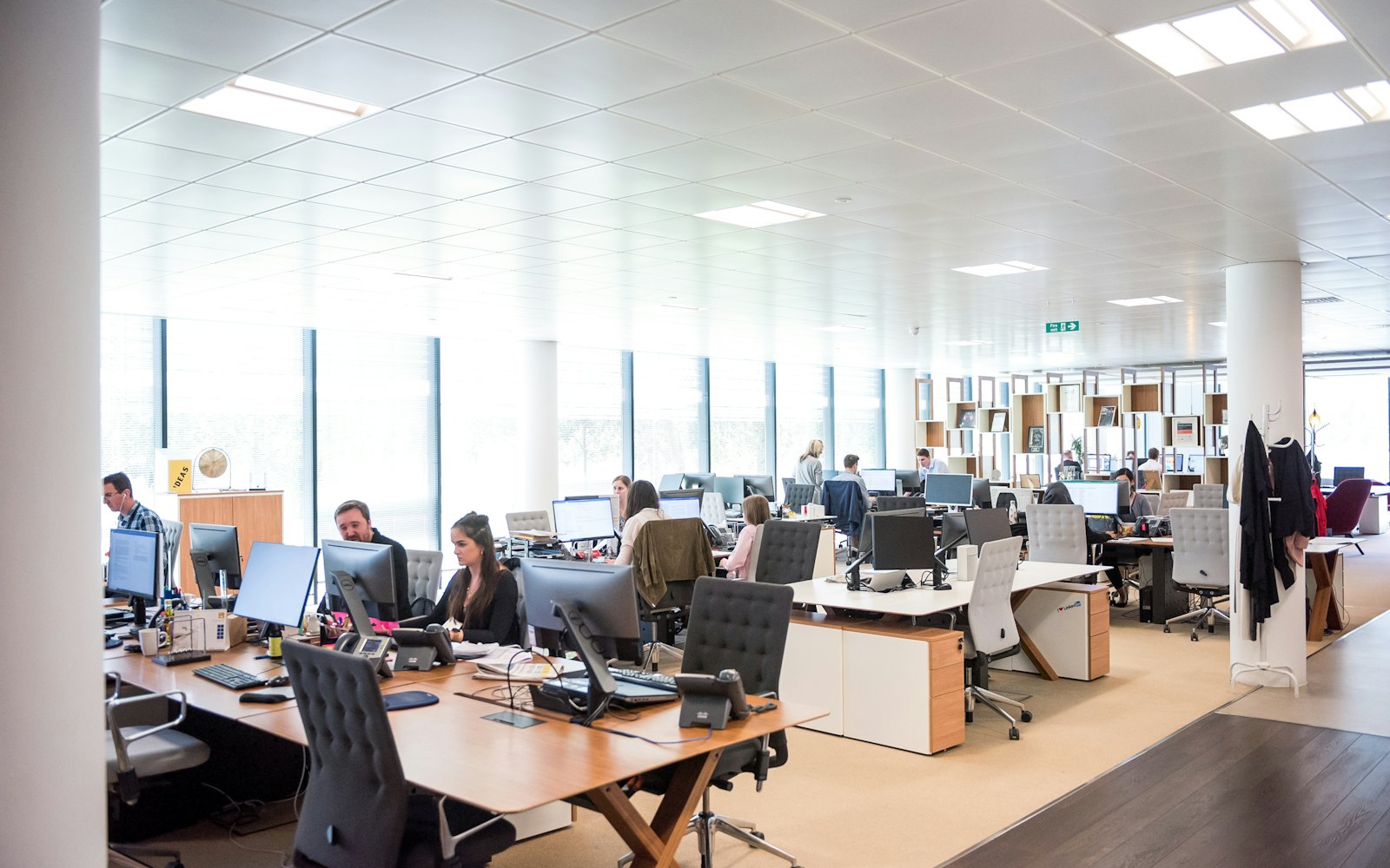 Members at work along the open desks in Copenhagen